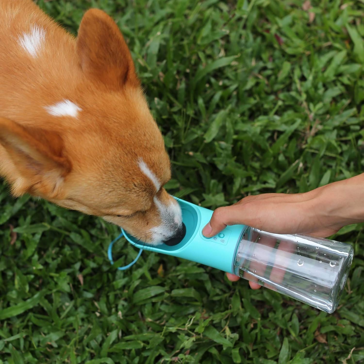 plastic water bottle 1 plastic water bottle 1