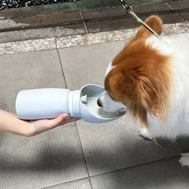 foldable dog water bottle(pack of 10 pcs) foldable dog water bottle(pack of 10 pcs)