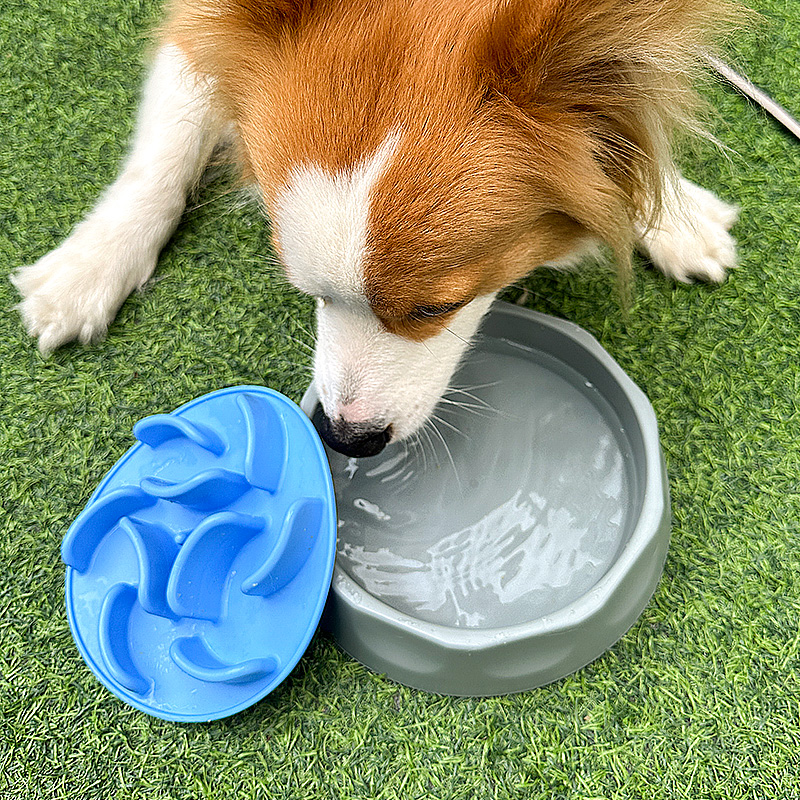 2 in 1 anti choking slow feeder & lick mat bowl set 2 in 1 anti choking slow feeder & lick mat bowl set