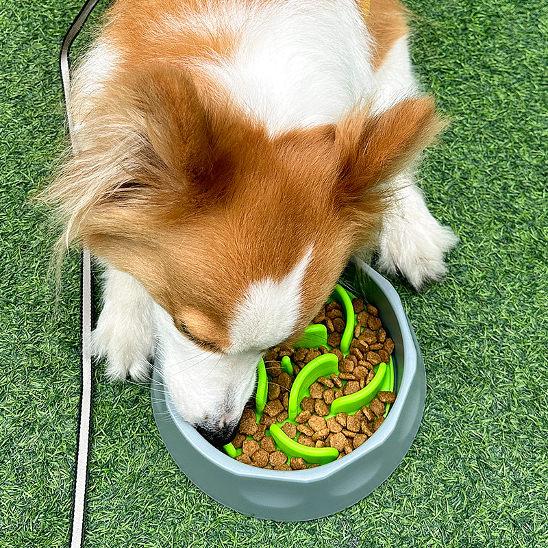 2 in 1 anti choking slow feeder & lick mat bowl set 2 in 1 anti choking slow feeder & lick mat bowl set