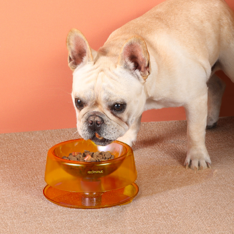 adjustable smart rail pet feeding bowl adjustable smart rail pet feeding bowl