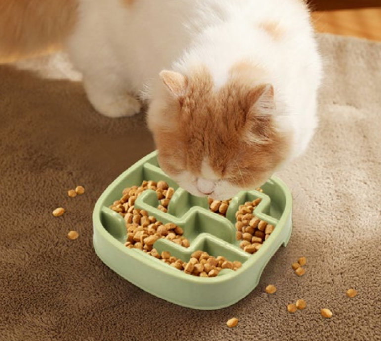 round plastic pet slow food bowl round plastic pet slow food bowl