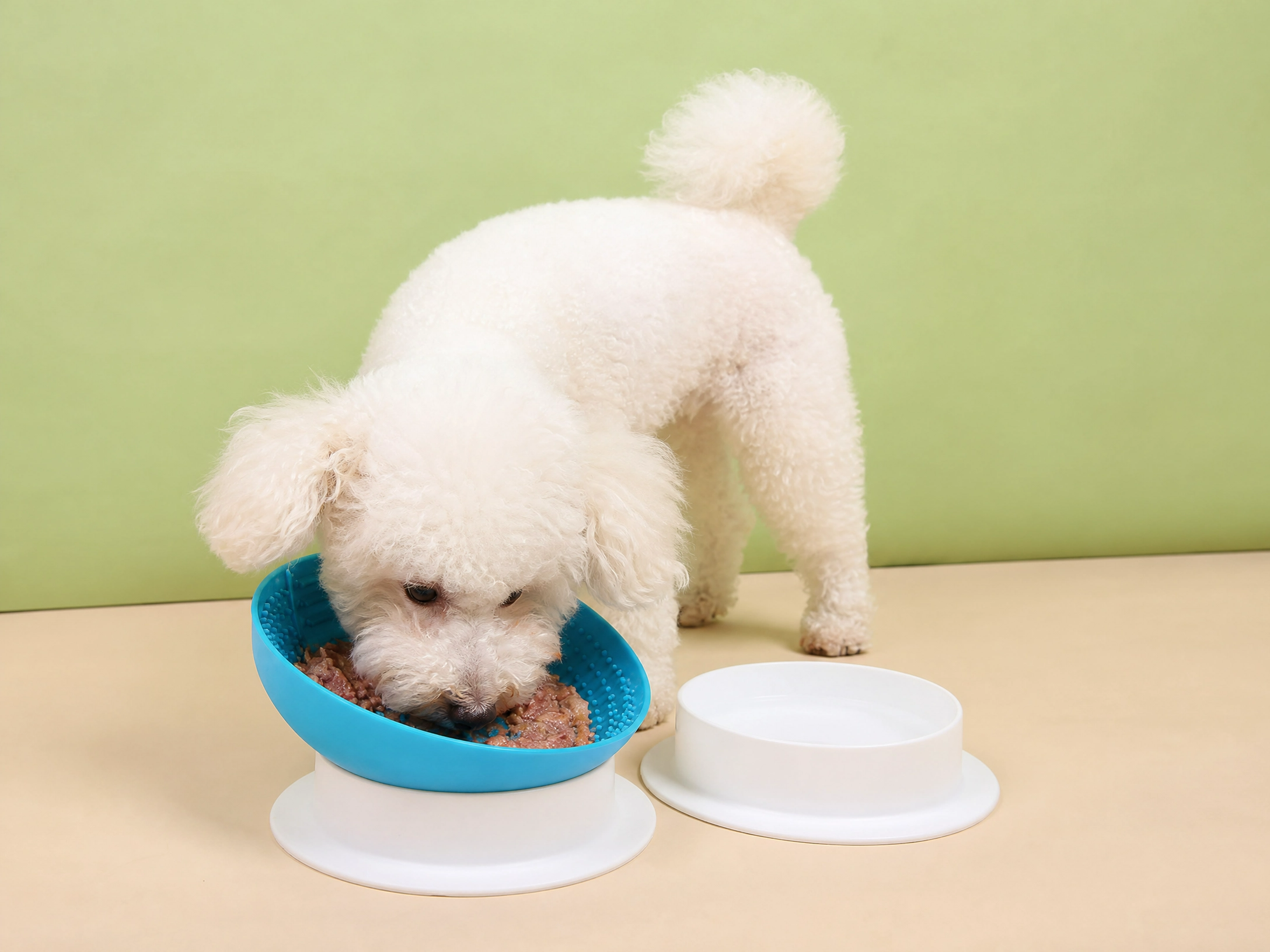 dual use food&water bowl dual use food&water bowl