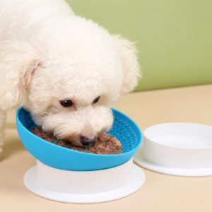 dual use food&water bowl